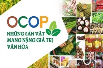 Ứng dụng công nghệ - Chìa khóa nâng cao giá trị sản phẩm OCOP