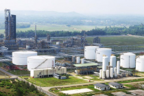 Doanh nghiệp Việt đầu tiên đạt chứng nhận giảm phát thải carbon