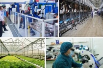 Việt Nam tiên phong kết nối Khoa học công nghệ, đổi mới sáng tạo và chuyển đổi số