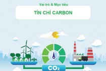 Sẽ có sổ tay hướng dẫn doanh nghiệp Việt Nam tham gia thị trường carbon