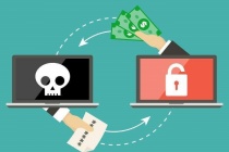 Tội phạm mạng dẫn dụ người dùng truy cập web giả mạo, mô phỏng giao diện các thương hiệu nổi tiếng và tổ chức tài chính