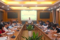 Đề xuất hỗ trợ học phí cho học sinh phổ thông, mầm non tại các trường dân lập