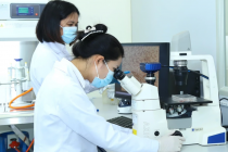 Đào tạo nhân lực khoa học kỹ thuật: Bắt đầu từ giáo dục phổ thông