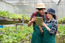 SMEs: Động lực mới cho nông nghiệp thông minh