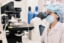 Sinh viên ngành STEM sắp được vay vốn dưới 500 triệu không cần đảm bảo