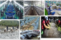 Tổng Bí thư Tô Lâm và tư duy lý luận mới về kinh tế tư nhân