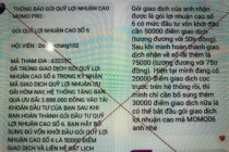 Sập bẫy ứng dụng MoMo Pro giả mạo, nhà đầu tư mất trắng hơn 300 triệu đồng