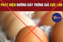 Thông tin về “trứng gà giả” tại Việt Nam là bịa đặt