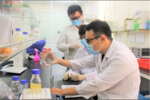 Công bố kết quả chương trình thu hút nhà khoa học đầu ngành 2025