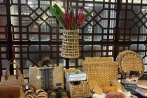 Cuộc thi Khởi nghiệp Xanh 2025 kết nối tài nguyên bản địa với khát vọng trẻ