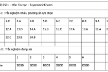 Đáp án tham khảo tất cả các mã đề môn Tin học kỳ thi tốt nghiệp THPT 2025