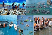 Thủy sản Việt Nam cần mô hình cảnh báo môi trường biển thông minh