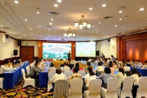 Hoàn thiện khung pháp lý cho thị trường carbon rừng