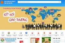 Thái Nguyên: Mở rộng thị trường cho sản phẩm địa phương bằng gian hàng điện tử