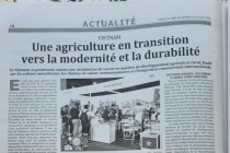 Việt Nam – Đối tác phát triển năng động của châu Phi trong kỷ nguyên mới