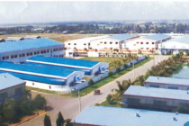 Sẽ chuyển đổi toàn diện Khu công nghiệp Bình Chiểu theo hướng xanh, giảm phát thải carbon