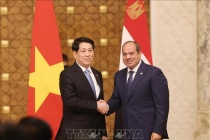 Tuyên bố chung nâng cấp quan hệ Đối tác Toàn diện Việt Nam - Ai Cập