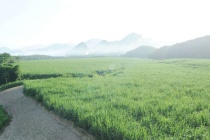 Chuyển đổi xanh giúp doanh nghiệp đáp ứng yêu cầu thị trường, giữ đơn hàng, tăng xuất khẩu