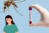 Bệnh Chikungunya lan rộng, Bộ Y tế phát thông báo khẩn tới các địa phương