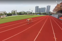 Robot chó lập kỷ lục Guiness chạy 100 m