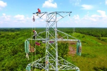 ADB, WB rót hơn 12 tỷ USD cho năng lượng tái tạo và lưới điện ASEAN