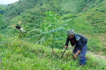 Quảng Trị khởi động dự án hỗ trợ sinh kế thích ứng biến đổi khí hậu