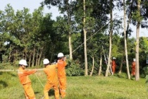 Ngành điện miền Trung triển khai ứng phó khẩn cấp với bão số 5