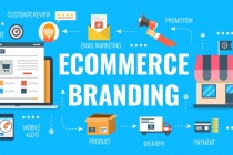 Thương hiệu Việt vẫn ở vị trí vùng giữa trên sàn thương mại điện tử