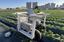 Robot hái dâu tích hợp AI: Bước tiến mới hướng tới thương mại hóa thu hoạch tự động
