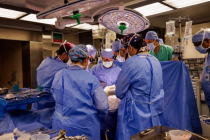 Đột phá y học: FDA phê duyệt thử nghiệm ghép thận lợn, mở ra hy vọng mới cho bệnh nhân suy thận