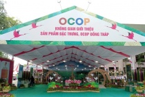 Thương mại Đồng Tháp: Tăng tốc số hóa, mở rộng chuỗi giá trị