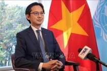 Việt Nam sẵn sàng gánh vác các công việc chung của Liên Hợp Quốc