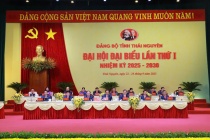 Thái Nguyên: Phấn đấu trước năm 2045 sẽ phát triển trở thành tỉnh có thu nhập cao