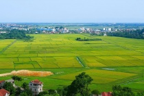 Kiện toàn Ban Chỉ đạo làm giàu, làm sạch cơ sở dữ liệu đất đai