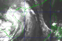 Tin bão mới nhất: Bão số 10 Bualoi đổ bộ Nghệ An - Hà Tĩnh, gió giật cấp 12