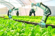 Ứng dụng công nghệ số mở đường cho sản phẩm OCOP vươn xa