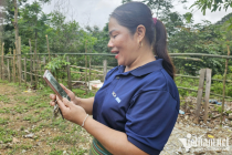 Ngày Chuyển đổi số quốc gia 2025 tiếp tục lan tỏa chuyển đổi số đến toàn dân