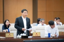 Nhà nước quản lý, điều tiết giá theo cơ chế thị trường