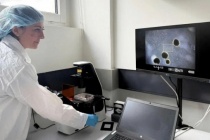 Máy tính sinh học: có thể là cứu cánh cho khủng hoảng năng lượng