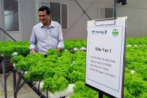 Nông nghiệp thông minh thời 5G: Bước ngoặt chuyển đổi từ đồng ruộng đến kết nối số