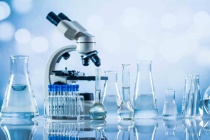 Quyền sở hữu trí tuệ trở thành tài sản góp vốn vào doanh nghiệp