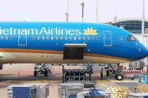 Doanh nghiệp nhà nước trọng yếu - Đầu tàu phát triển công nghiệp nền tảng quốc gia