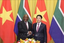 Chủ tịch nước Lương Cường hội đàm với Tổng thống Nam Phi