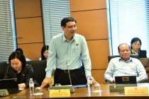 Đại biểu Quốc hội đề xuất cho phép Hà Nội và Thành phố Hồ Chí Minh thí điểm mô hình tổ hợp hoặc tập toàn báo chí