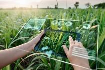 Khát vọng “kỳ lân” Việt Nam – Từ khởi nghiệp đến gọi vốn quốc tế