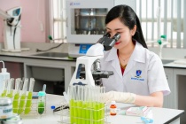 Nhiều chính sách đột phá đào tạo nhân lực chất lượng cao theo chuẩn quốc tế