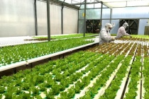 Bình Phước xây dựng nông thôn thông minh