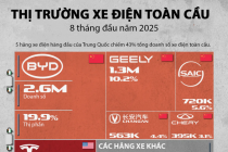 Thị phần của các hãng xe điện trên toàn cầu