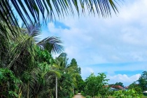 Nhiều nông dân thoát nghèo nhờ giải pháp nhân rộng mô hình canh tác lúa chất lượng cao, phát thải thấp