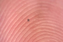 Robot nhỏ nhất thế giới, gần như tàng hình nếu nhìn bằng mắt thường